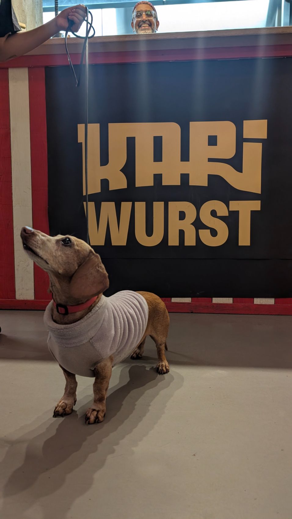 {{ t.altStand }}